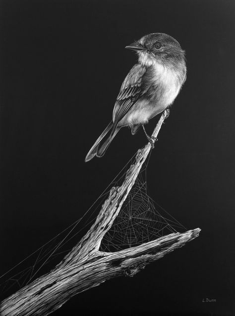 Flycatcher-Duo Scratchboard Art, Black Paper Drawing, Black And White Art Drawing, Scratch Art, Charcoal Art, White Pencil, White Charcoal, Paper Drawing, Black And White Drawing