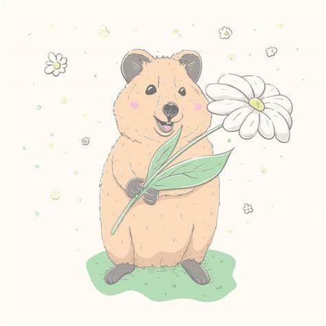 Tela, Pencil Art, Kawaii, Quokka Drawing, Quokka Cartoon, Quokka Illustration, Quokka Animal, Cartoon Picture, Australian Animals