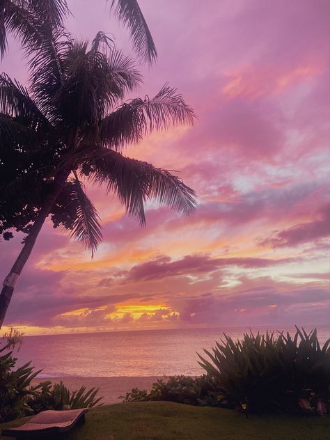 Pink Aesthetic Vacation, Pretty Outside Pictures, Pretty Summer Aesthetic, Summer Season Aesthetic, Tropical Summer Aesthetic, Pink Summer Aesthetic, Hawaii Scenery, Summer Sunset Aesthetic, Outside Aesthetic