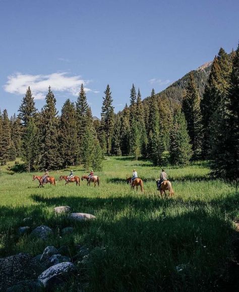 Nature, Montana Country Aesthetic, Mountain Sky Aesthetic, Mountain Country Aesthetic, Montana Places To See, Mormon Row Wyoming, Western Usa Aesthetic, Montana Ranch Life Aesthetic, Montana Big Sky