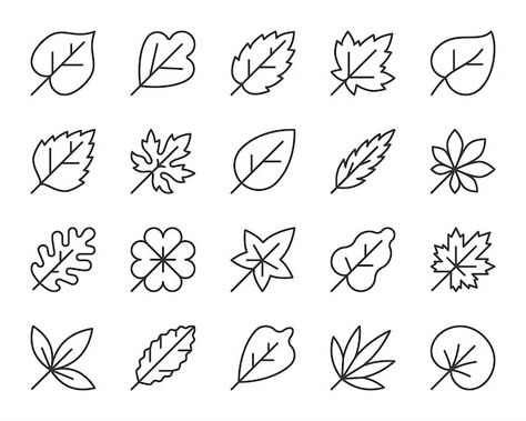 Vector leaf line icon set, autumn foliag... | Premium Vector #Freepik #vector #leaf #leaf-shape #eco-leaf #nature Icon Nature, Side Profile Drawing, Vector Leaf, Birch Leaves, Leaf Symbol, Black Contour, Nature Symbols, Dibujo Simple, Leaf Outline