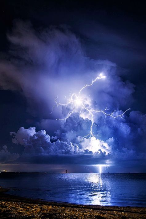 Lightning strikes over Clearwater, Florida - USA Storm Photography, Lightning Images, Pictures Of Lightning, Lightning Photos, Lightning Cloud, Lightning Photography, Purple Lightning, Clearwater Florida, Thunder And Lightning
