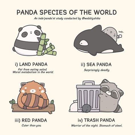 Kawaii, Pandas, Humour, Panda Sketch, Trash Pandas, Trash Panda, Cute Doodles Drawings, Haiwan Peliharaan, Funny Animal Jokes