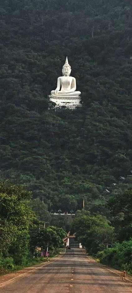 Buddha Statue in Forest Pak Chong, Nakhon Ratchasima - Korat, Thailand. Looks surreal - House of Bohemian Palawan, Korat, Statue In Forest, Thailand Jungle, Pai Thailand, Antonio Machado, Beautiful Thailand, Lifestyle Dresses, Bhutan