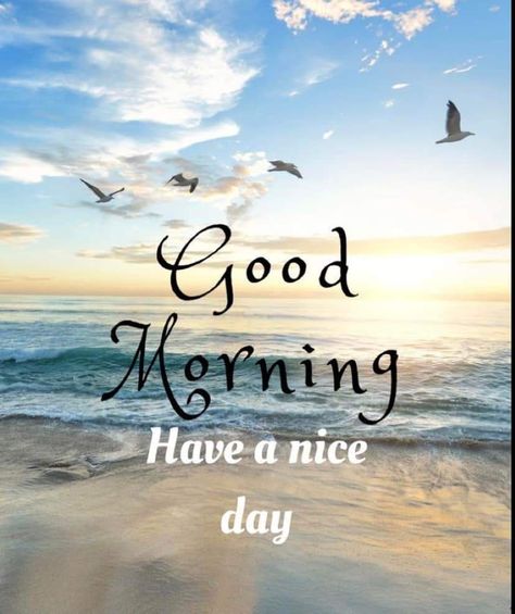 Good Morning Have A Good Day, Good Morning Have A Beautiful Day, Good Morning Have A Nice Day, Good Morning Sea, Good Morning Beach Images, Summer Good Morning, Have A Nice Day Cute, Have A Nice Day Quotes, Good Morning Ocean
