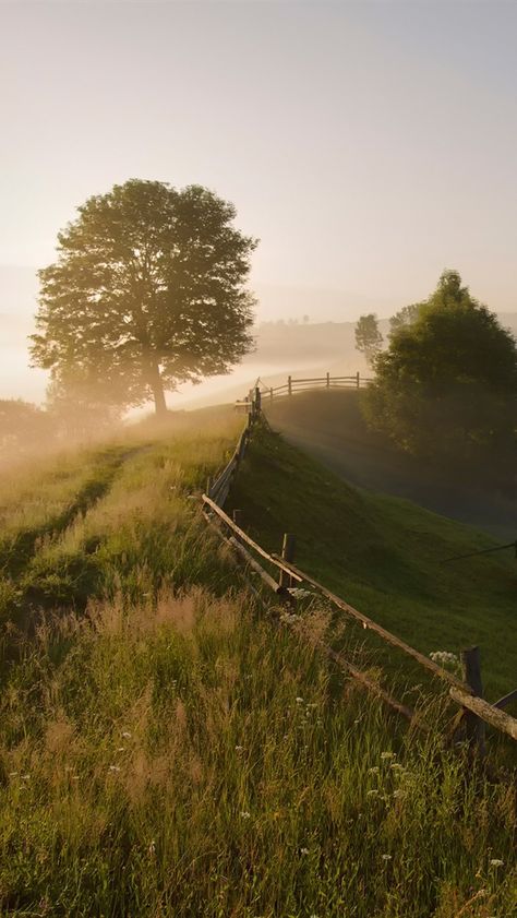 Nature, English Countryside Aesthetic, Countryside Wallpaper, Summer Iphone Wallpaper, England Aesthetic, England Countryside, Carpathian Mountains, Morning Fog, Summer Iphone