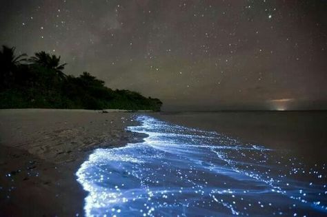 Night time at the beach; thanks to the phosphorus in the water. Charcoal Drawings, Bioluminescent Water, Vaadhoo Island, Glowing Water, Bioluminescent Bay, Sea Of Stars, Matka Natura, Bhutan, Natural Phenomena