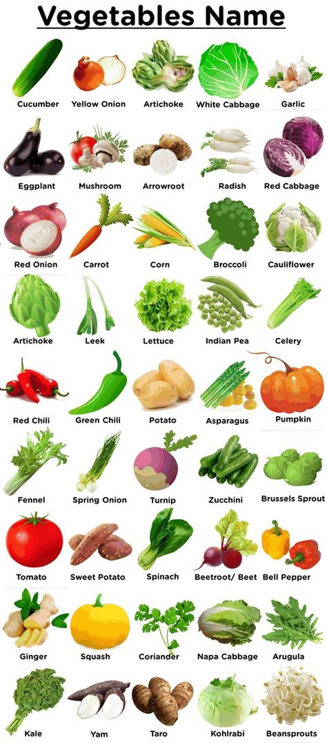 Vegetables Chart For Kids, Vegetable Chart For Kids, Pictures Of Fruits And Vegetables, Vegetable Names In English, Garden Fruits And Vegetables, Vegetable Wallpaper, Vegetable Vocabulary, Vegetable Name, Fruits Chart