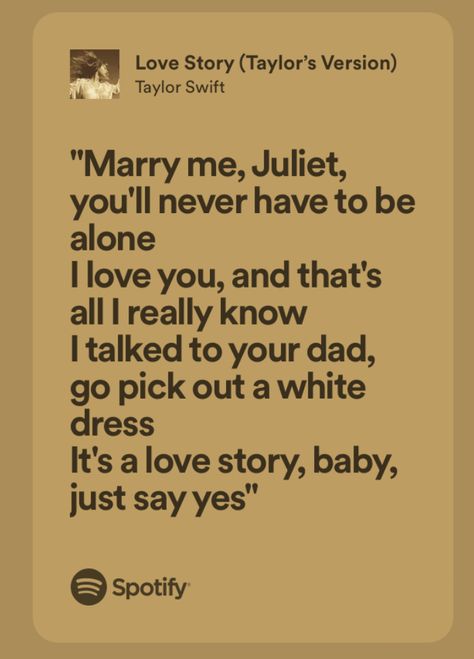 Marry Me Juliet Song, Taylor Swift Romeo And Juliet, Romeo And Juliet Song, Marry Me Juliet, Feel Good Quotes, Taylor Swift Lyrics, Instagram Photo Inspiration, Romeo And Juliet, Talking To You