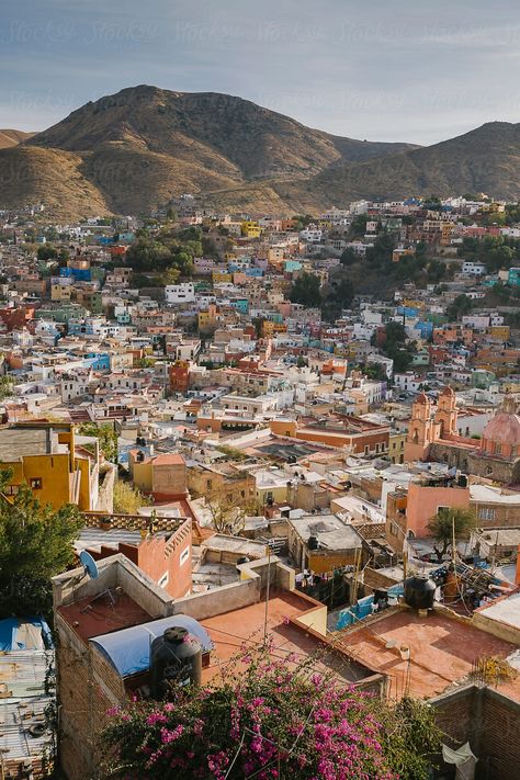 Nature, Guanajuato, Mexico Landscape Photography, Mexico Landscape, Environment Photography, Mexico Photography, Gala Ideas, Wanderlust Photography, Mexico Art