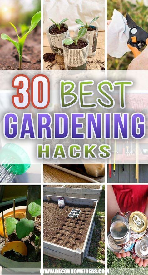 April Gardening, Easy Gardening Hacks, Pruning Tomato Plants, Aesthetic Gardening, Garden Hacks Diy, Fire Pit Garden, Gardening Aesthetic, Vegetable Garden Planner, Decor Home Ideas