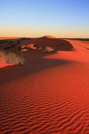 Western Australia Travel, Australian Desert, Australia Landscape, Deserts Of The World, Red Sand, Desert Travel, Australian Travel, Outback Australia, Sand Dunes