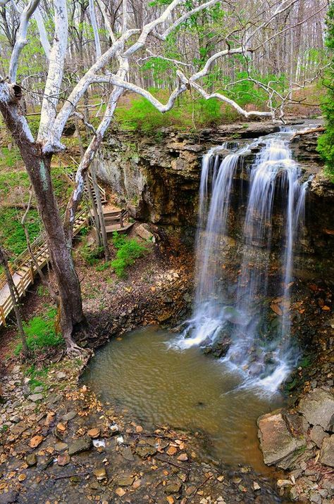 Unique Hiking Trail In Ohio: Charleston Falls Nature Preserve Nature, Ohio Waterfalls, Ohio Hiking, Hocking Hills State Park, Cuyahoga Valley National Park, Ohio Travel, Water Falls, Waterfall Hikes, Hiking Guide