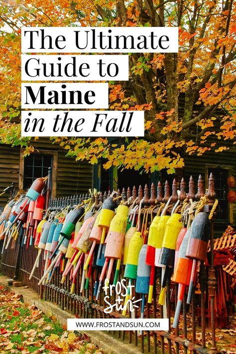 Maine In The Fall Road Trips, Fall Maine Trip, Fall In Bar Harbor Maine, Fall Trip To Maine, Portland Maine In October, Bar Harbor Maine Things To Do Fall, Maine Honeymoon Fall, Maine Things To Do In Fall, Where To Visit In Maine