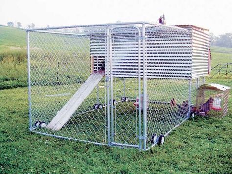 Chicken coop in a dog kennel Movable Chicken Coop, Portable Dog Kennels, Chicken Coop Kit, Mobile Chicken Coop, Amish Chicken, Chicken Barn, Portable Chicken Coop, Chicken Pen, Chicken Tractors