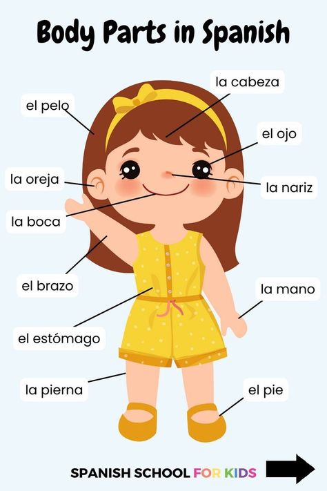 Your kids can learn Spanish with a smile with interactive Spanish lessons for kids like this video to learn body parts in Spanish - even if you know zero Spanish! Spanish lessons for children should be engaging for them & easy Spanish lessons for you to provide for your kids. Click the link for this video (and more free Spanish lessons online - perfect vritual Spanish lessons that are flexible for you) today! Spanish For Toddlers, Spanish Words For Kids, Spanish Preschool Activities, Body Parts In Spanish, Preschool Spanish Lessons, Summer Education, Spanish Reading Activities, Beginner Spanish Lessons, Free Spanish Lessons