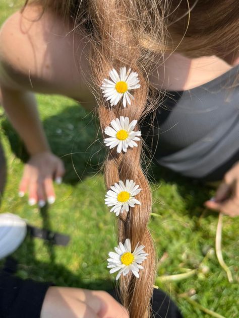 Daisy braids in hair Daisies In Hair, Braids In Hair, Punk Bride, Gloriosa Daisy, Hair Aesthetics, Summer Vision, Daisy Hair, Daisy May, Giant Animals