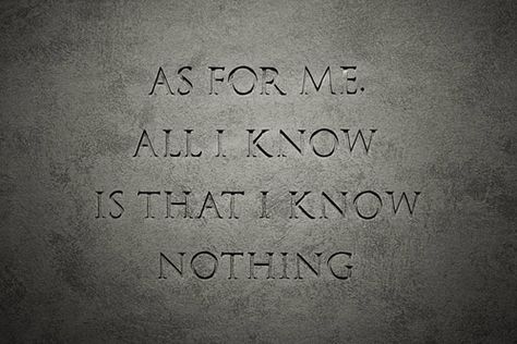 I know nothing and I'm not afraid to admit it Wise Words, I Know Nothing, Socrates, Love Me Quotes, Know Nothing, Lessons Learned, Inspire Me, Inspirational Words, Book Worth Reading