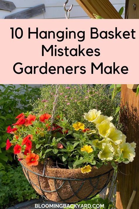 10 Hanging Basket Mistakes Too Many Gardeners Make Hanging Basket Outdoor, Best Hanging Baskets, Plants In Hanging Baskets, Perennial Hanging Baskets, Wire Hanging Basket Ideas, Plants For Hanging Baskets Outdoor, Hanging Outdoor Plants, Outdoor Plant Ideas, Hanging Plants On Fence