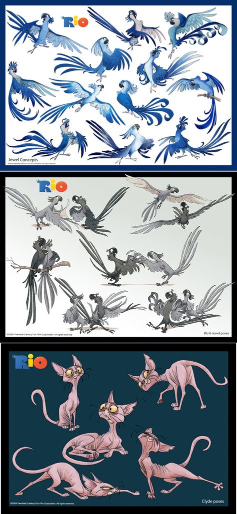 Rio Cartoon, Sergio Pablos, Disney Birds, Rio Movie, Blue Sky Studios, Rio 2, Animation Storyboard, Learn Art, Character Design Animation