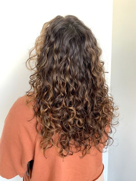 Long Curly Haircuts, Curly Cut, Natural Curly Hair Cuts, Highlights Curly Hair, Dyed Curly Hair, Layered Curly Hair, Brown Curly Hair, Curly Hair Photos, Colored Curly Hair