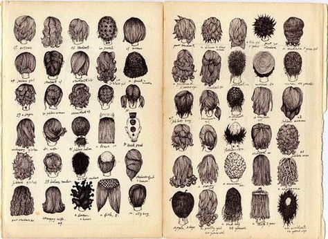 Chart of various styles. Croquis, Moleskine, Namaste, Names Of Haircuts, Skitse Bog, Hairstyle Names, Different Hairstyles, How To Draw Hair, Hairstyles Haircuts