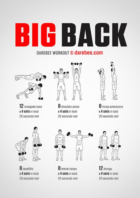 Bicg Back workout poster Big Back Workout, Back Workout Men, Gym Back Workout, Free Weight Workout, Fitness Studio Training, Latihan Dada, Gym Antrenmanları, Dumbell Workout, Gym Workout Chart
