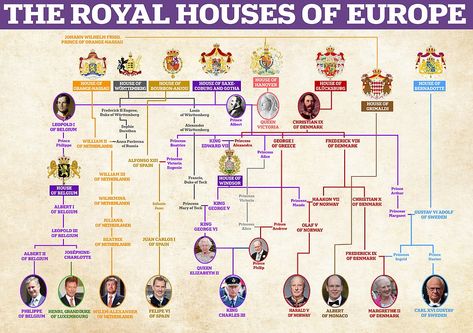 Kings and Queens in mourning alongside one another in Westminster Abbey  | Daily Mail Online Royal Family Tree, Spanish King, Prince Of Orange, Royal Family Trees, Royal Families Of Europe, Queen Margrethe Ii, Princess Alice, Princess Stephanie, European Royalty