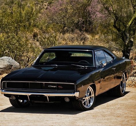 Dodge Charger 1970, 1968 Dodge Charger, Dodge Charger Rt, 1969 Dodge Charger, Ford Mustang Coupe, Charger Rt, Old Muscle Cars, Dodge Muscle Cars, Ford Galaxie