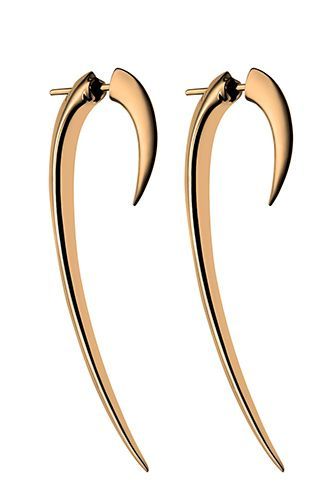 12 Cool-Girl Front-Back Earrings To Edge Up Any Outfit #refinery29  http://www.refinery29.com/63443#slide-11  Shuan Leane Tusk Long Earrings, $360, available at Farfetch.... Jewelry Hoops, Best Earrings, Wire Wrapped Jewelry Diy, Front Back Earrings, Jewelry Photoshoot, Kawaii Jewelry, Geometric Jewelry, Modern Earrings, Lovely Jewellery