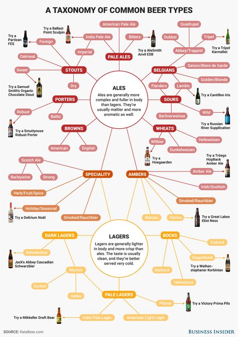 Everything you need to know about beer - Business Insider Essen, Beer Chart, Beer Knowledge, Wine Infographic, Beer Facts, Different Types Of Beer, Beer Types, Types Of Beer, American Beer