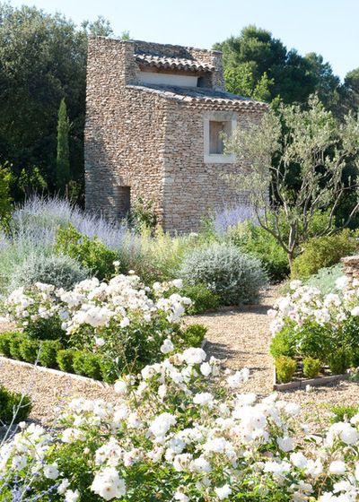 12 European Country Side and Provencal Gardens Lavender And Boxwood Landscaping, Olive Trees Landscape, Garden Lavender, Mediterranean Landscape, Provence Garden, Minimalist Garden, Mediterranean Landscaping, Tree Landscape, Gravel Garden