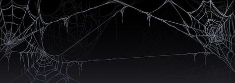 Goth Banner Aesthetic, Metal Banner Discord, Spider Banner Discord, Discord Halloween Banner, Dark Banner Aesthetic, Goth Discord Banner, 1200x480 Banner, Halloween Discord Banner, Pc Backround