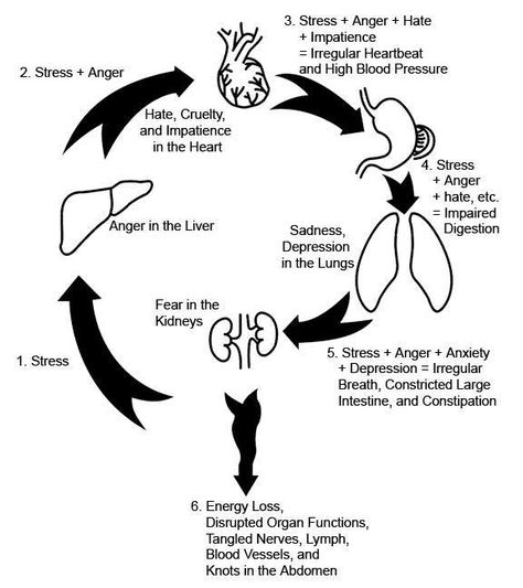 kidneys Chi Nei Tsang, Chi Flow, Massage Quotes, Body Map, Martial Arts Workout, Body Posture, Self Massage, Energy Flow, Locally Grown