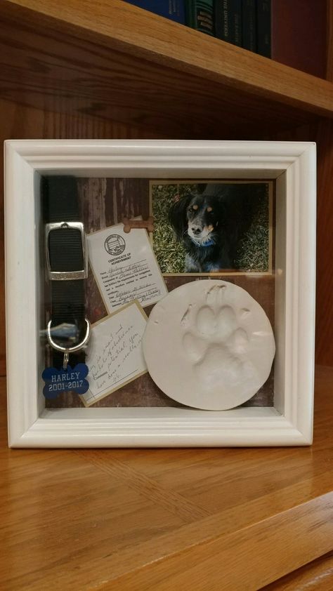 Pet Shadow Box. Polyform Sculpey Keepsake ovenbake Clay ($9.00 on Amazon) Shadowbox Ideas Memorial, Dog Rings, Pet Memorial Ideas Dogs, Shadowbox Ideas, Dog Shadow Box, Pet Keepsake, Francia Bulldog, Pet Remembrance, Dog Rooms