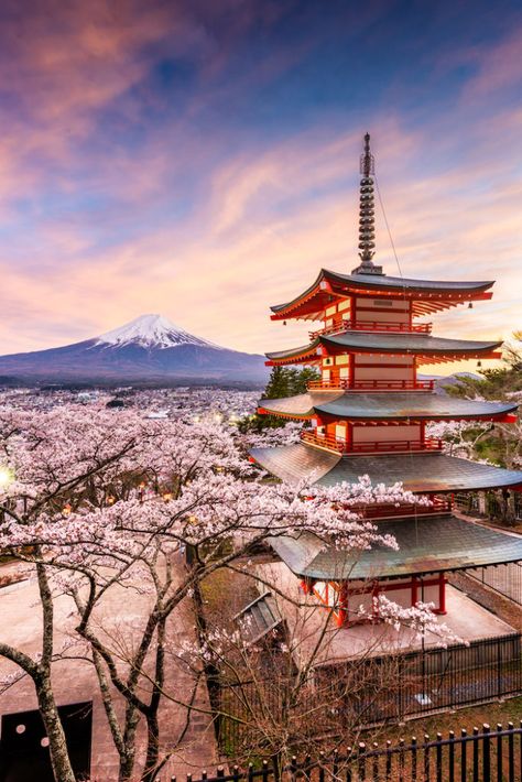 The Best Spots to See Cherry Blossoms Around Nagoya - GaijinPot Travel Sakura Season Japan Aesthetic, Sakura Japan Cherry Blossoms, Sakura Season Japan, Japan Moodboard, Sakura In Japan, Chureito Pagoda, Sakura Aesthetic, Sakura Japan, Sakura Season