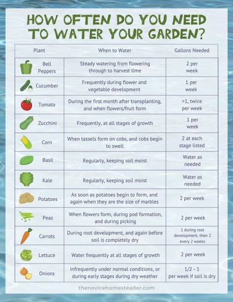 Diy Vertical Herb Garden Outdoor, Garden Watering Schedule, Medicinal Gardening, Garden For Beginners, Vegetable Garden Planner, When To Plant Vegetables, Vegetable Garden Planning, Vegetable Garden For Beginners, Victory Garden