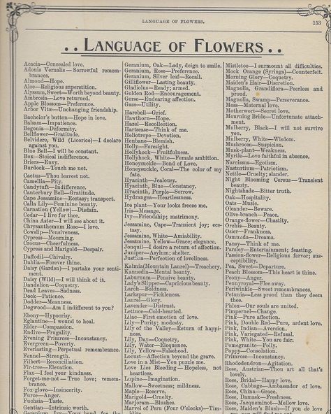 The Language of Flowers [free vintage printables] Book Of Shadows, Menulis Novel, Free Vintage Printables, Flower Meanings, Language Of Flowers, Book Writing Tips, Vintage Printables, The Words, Writing Inspiration