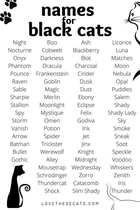 Cute Cat Names Aesthetic, Black Cat Meaning Spiritual, Fantasy Pet Names, Rare Cat Names, Goth Names Boy, Black Cat Names Boys, Witch Cat Names, Witchy Cat Names, Unique Kitten Names