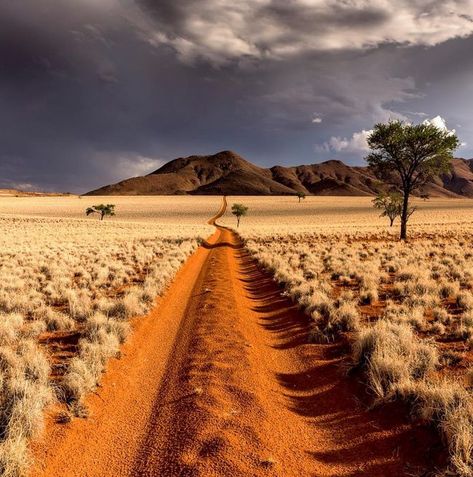 27 Brilliant Photos That Are Just Picture Perfect - Wow Gallery Africa Travel, Namibia Desert, Namibia Travel, Magic Places, Namib Desert, Afrikaanse Kunst, Foto Vintage, Southern Africa, Botswana