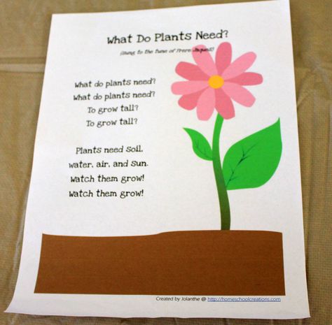 "What Do Plants Need?" Song (Frere Jacques tune) Montessori, Nature, Tiny Seed Activities, Plant Song, Flower Song, Kindergarten Poems, Plants Kindergarten, Plant Lessons, Preschool Spring