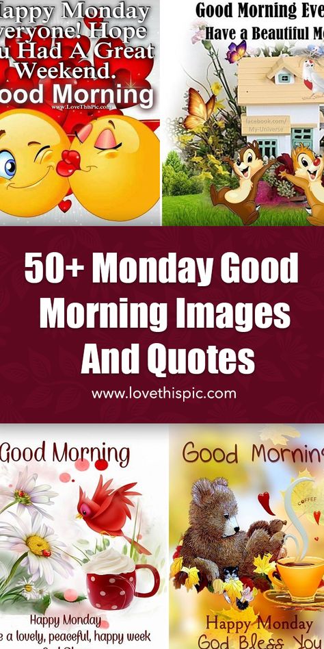 50+ Monday Good Morning Images And Quotes Good Monday Morning Blessings, Good Morning Monday Have A Great Week, Monday Greetings Good Morning, Monday Morning Quotes Humor, Happy Monday Morning Inspiration, Good Morning Happy Monday Images, Monday Good Morning Images, Morning Monday Quotes, Good Morning Monday Quotes