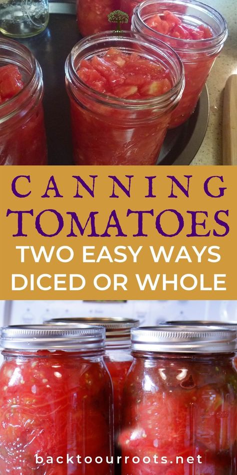Canning Pantry, Canned Tomato Recipes, Canning Tomatoes Recipes, Tomato Harvest, Can Food, Easy Canning, Pressure Canning Recipes, Canning Fruit, Canning Whole Tomatoes