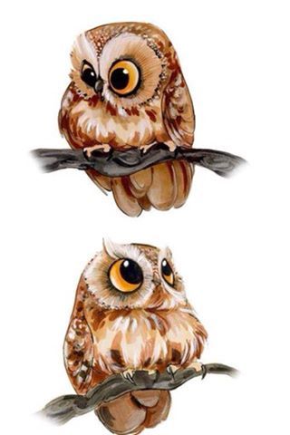 Two Humorous drawings of Owls. Baby Owls, Owl Illustration, Owls Drawing, Owl Crafts, Owl Pictures, Beautiful Owl, Owl Art, Cute Animal Drawings, 귀여운 동물
