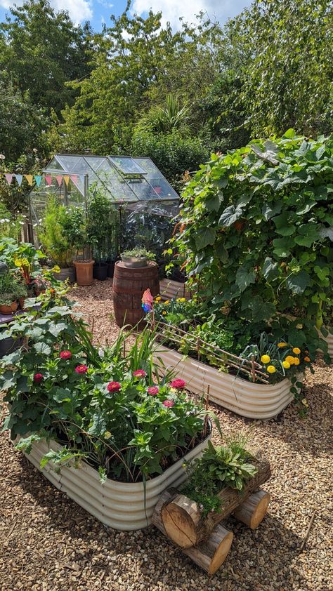 Vegetable Garden Design, Veg Garden, Garden Girls, Garden Layout, Farm Gardens, Veggie Garden, Garden Cottage, Garden Outdoor, Garden Decoration