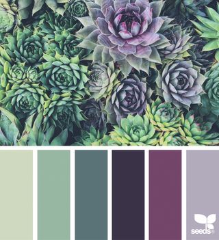 Succulent Hues | design seeds | Bloglovin’ Design Seeds, Orange Design, Colour Pallette, Colour Pallete, Exterior House Colors, Bedroom Colors, Colour Schemes, Color Pallets, Room Colors