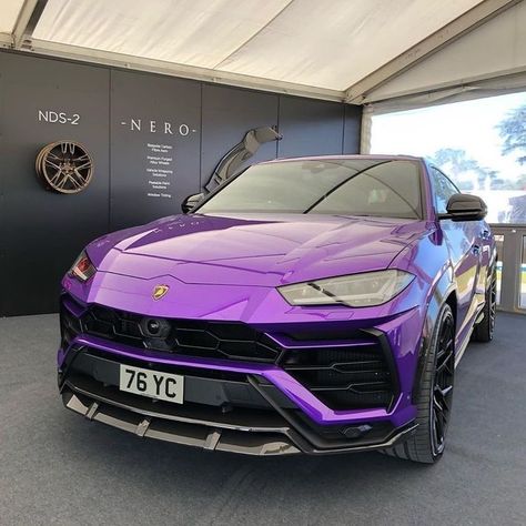 Lambo Urus, Pink Lamborghini, New Luxury Cars, Luxury Car Brands, Lamborghini Urus, Luxurious Cars, Lux Cars, Lamborghini Cars, Rich Money