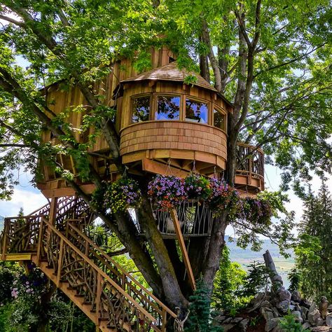 50 DIY Treehouses Made From Reclaimed Materials | Family Handyman Casa Dos Hobbits, Treehouse Point, Beautiful Tree Houses, Treehouse Masters, Canopy And Stars, Building A Treehouse, Tree House Plans, Tree House Diy, Bird Barn