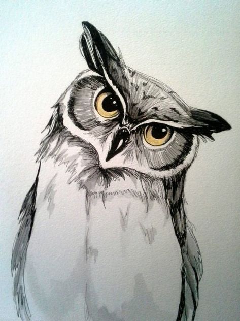 Images By Tulay Apaydin On Pencil Drawings 14B Inked Magazine, Owl Paintings, Watercolor Owl, Fu Dog, Paintings Watercolor, Owls Drawing, Tableau Art, Owl Painting, Pen And Watercolor