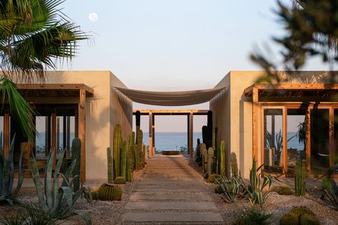 Gallery of CAPO Boutique Hotel and Resort / Carl Gerges Architects - 1 Water Lilies, Carl Gerges, Hotel And Resort, Mediterranean Landscaping, Hospitality Projects, Hotel Boutique, Hotel Suites, Architectural Inspiration, Beach Hotels